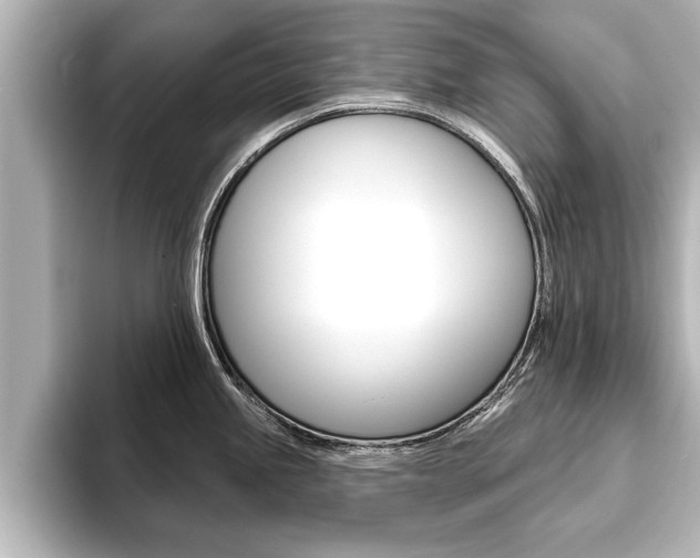 X0000093741245200710160743