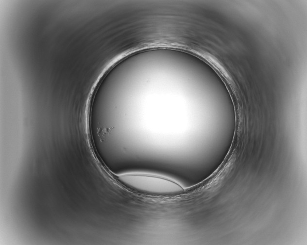 X0000093741246200710160743