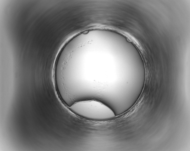 X0000093741247200710160743