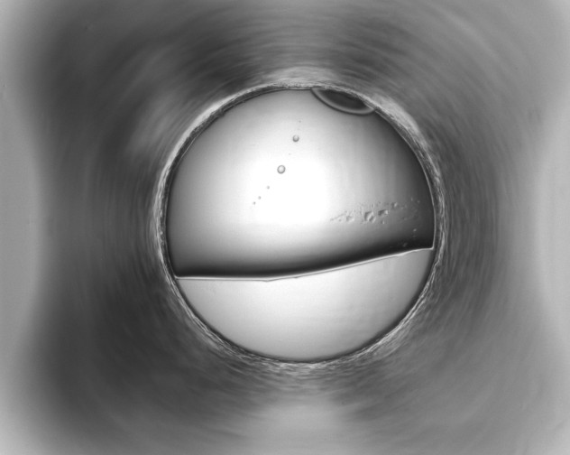 X0000093741248200710160743