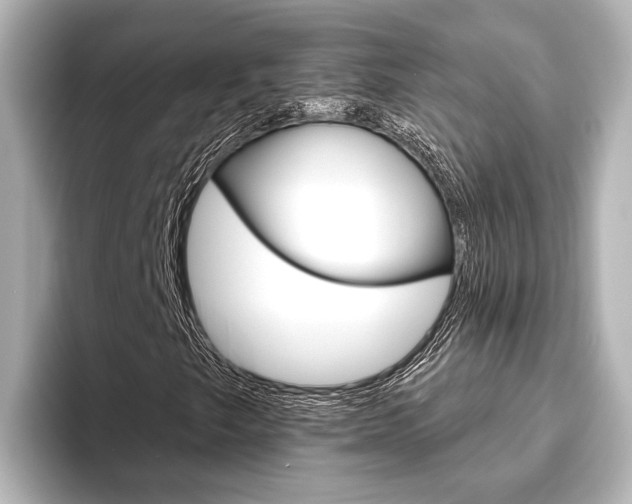 X0000093741249200710160743