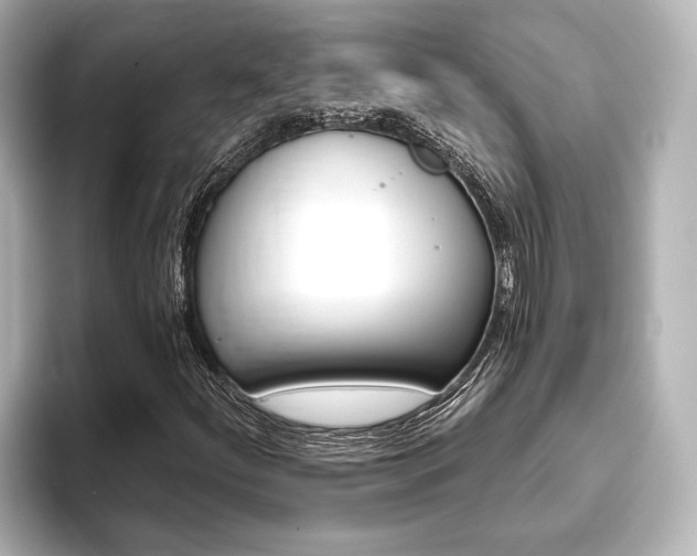 X0000093741252200710160743