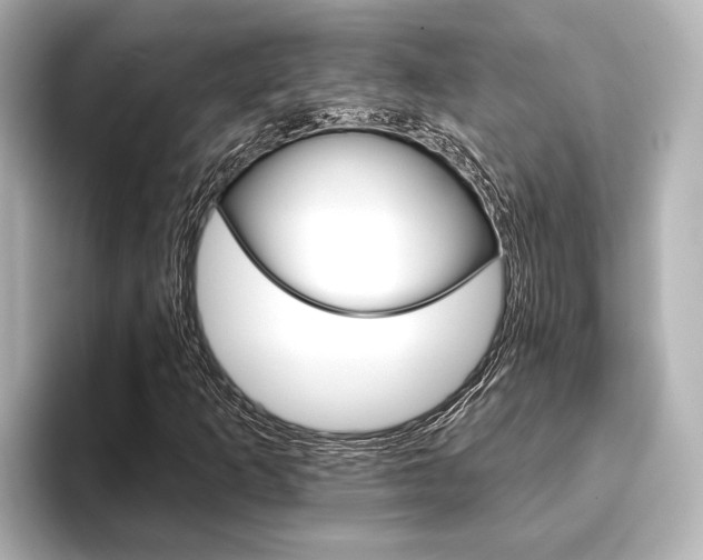 X0000093741253200710160743