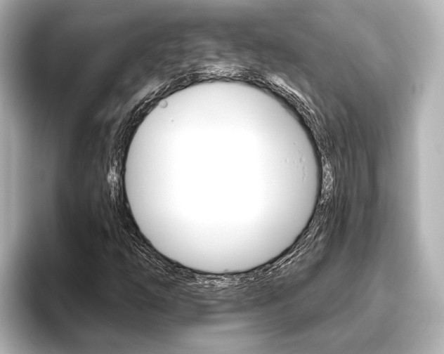 X0000093741254200710160743