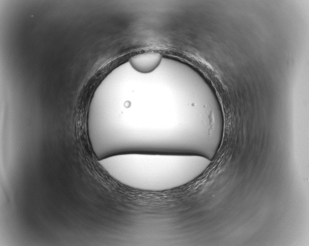 X0000093741255200710160743