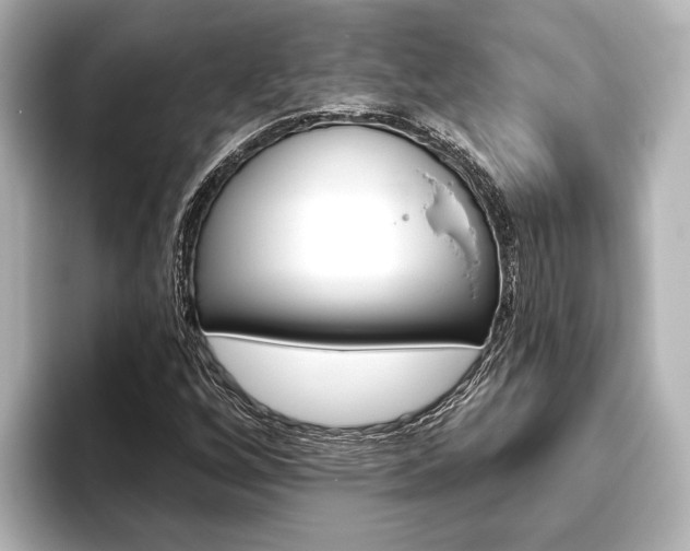 X0000093741256200710160743