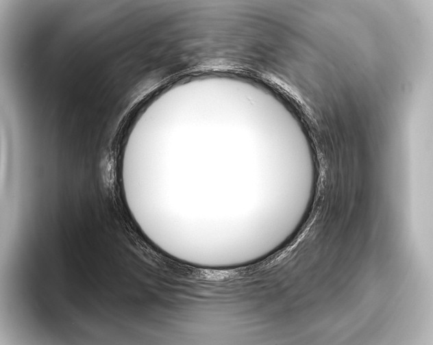 X0000093741258200710160743