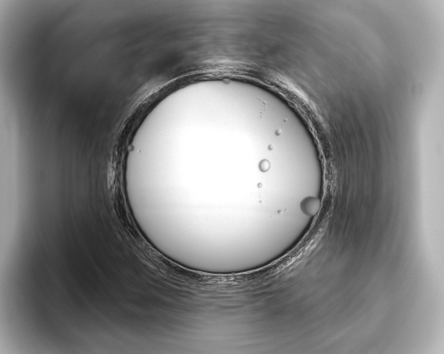 X0000093741259200710160743
