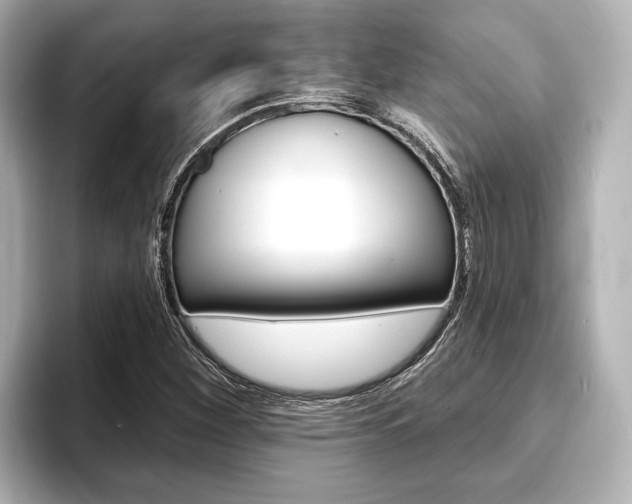 X0000093741260200710160743