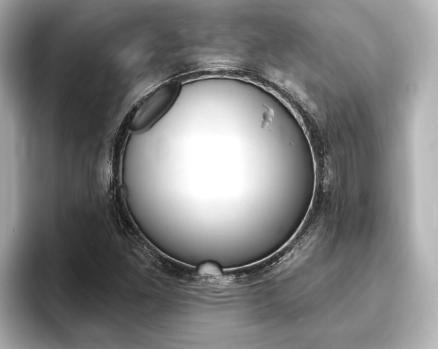 X0000093741261200710160743