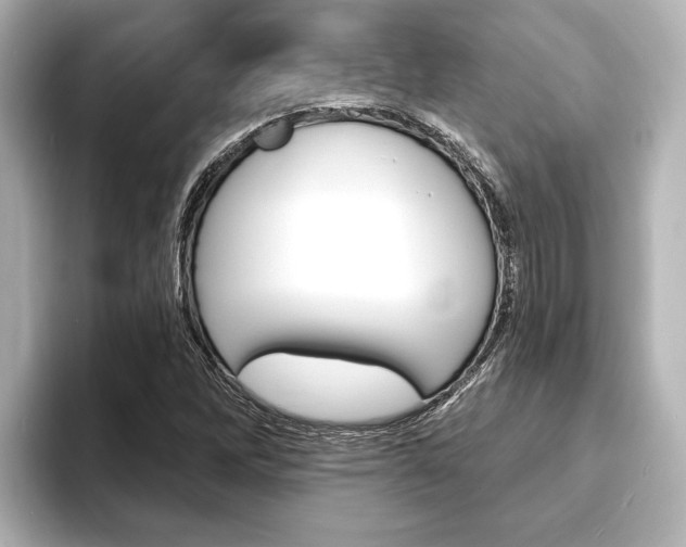 X0000093741262200710160743