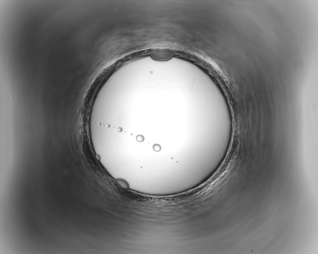 X0000093741263200710160743