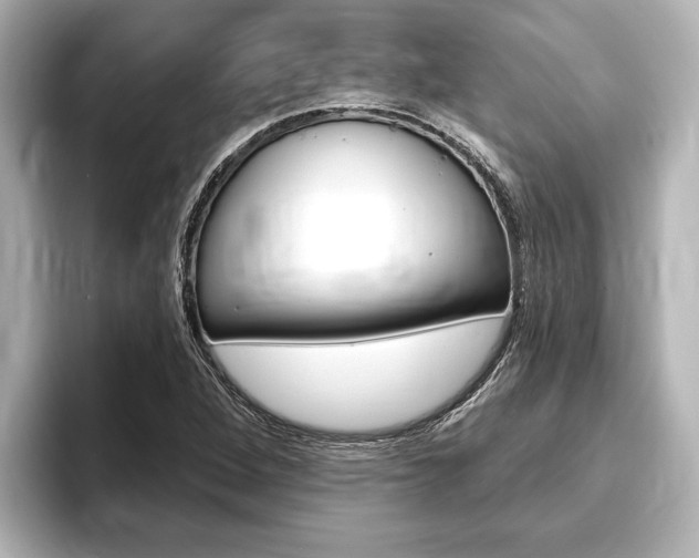 X0000093741264200710160743