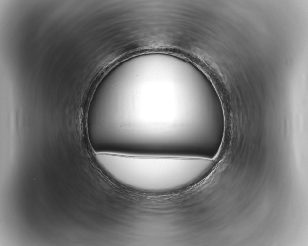 X0000093741265200710160743