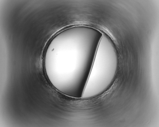 X0000093741268200710160742