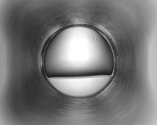 X0000093741269200710160742
