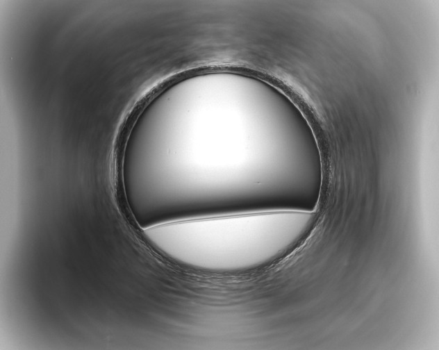 X0000093741270200710160742