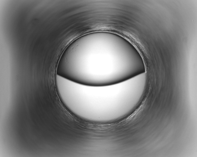 X0000093741273200710160742