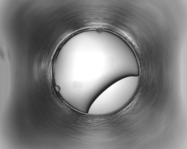 X0000093741275200710160742