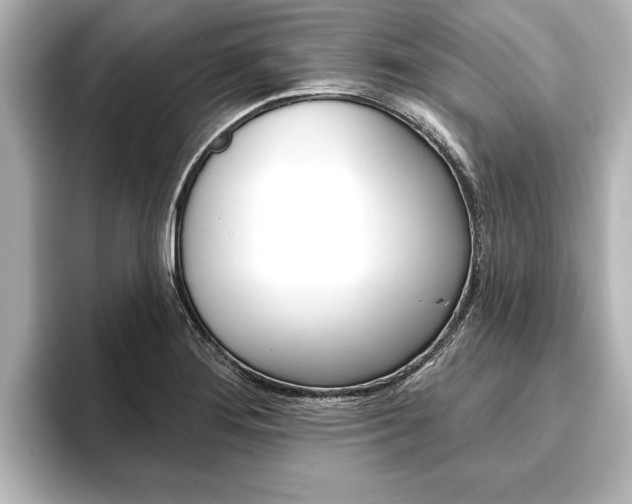 X0000093741276200710160742