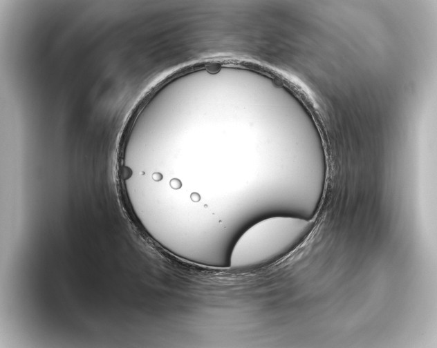 X0000093741279200710160742