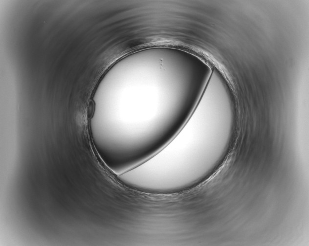 X0000093741281200710160742