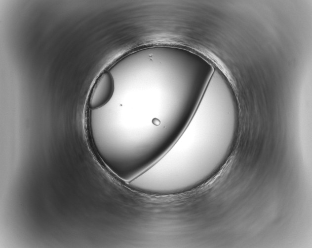 X0000093741285200710160742