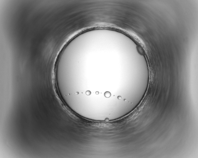 X0000093741287200710160742
