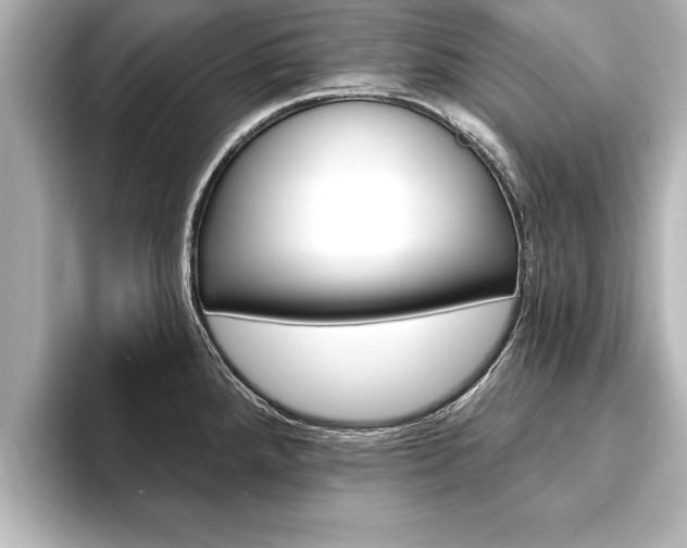 X0000093741288200710160742