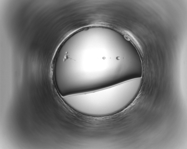 X0000093741292200710160742