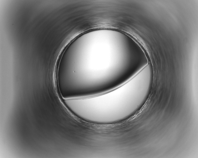 X0000093741293200710160742