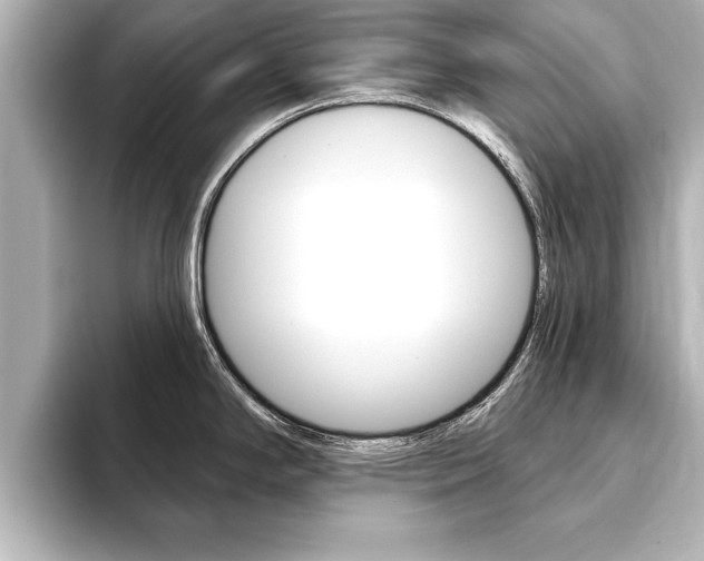 X0000093741294200710160742