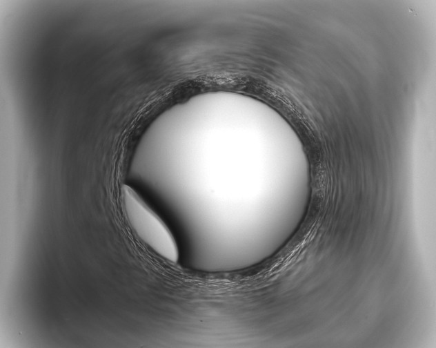 X0000093741297200710160741