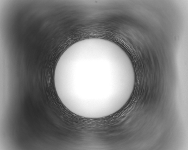 X0000093741298200710160742