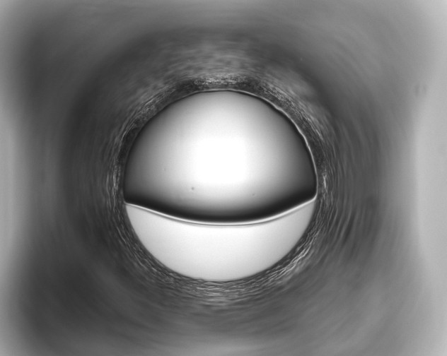 X0000093741300200710160742