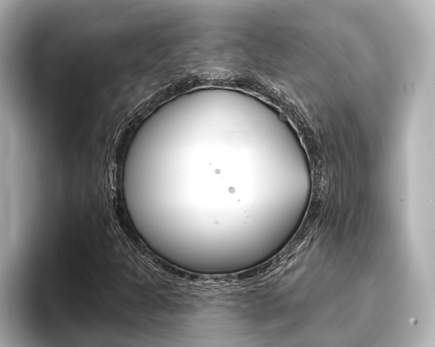 X0000093741301200710160742