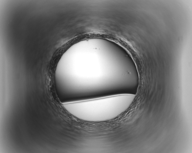 X0000093741303200710160742
