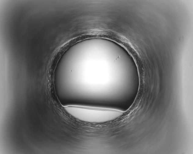 X0000093741304200710160742