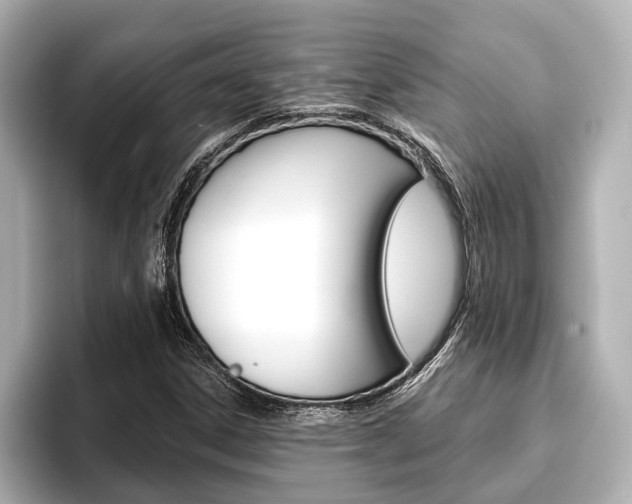 X0000093741306200710160742