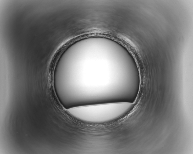 X0000093741310200710160742