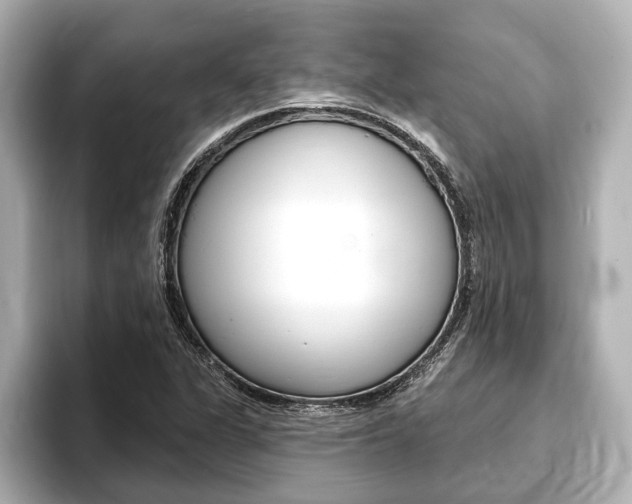 X0000093741311200710160742