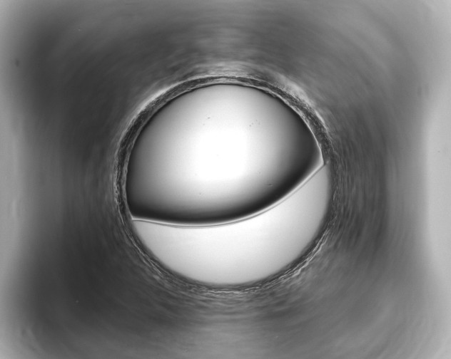 X0000093741312200710160742
