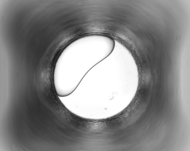 X0000093741314200710160742