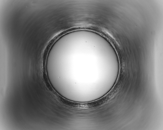 X0000093741315200710160742