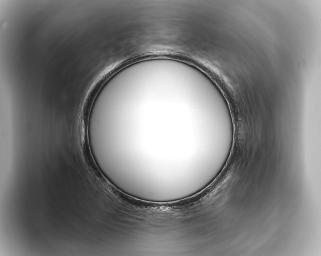 X0000093741317200710160742