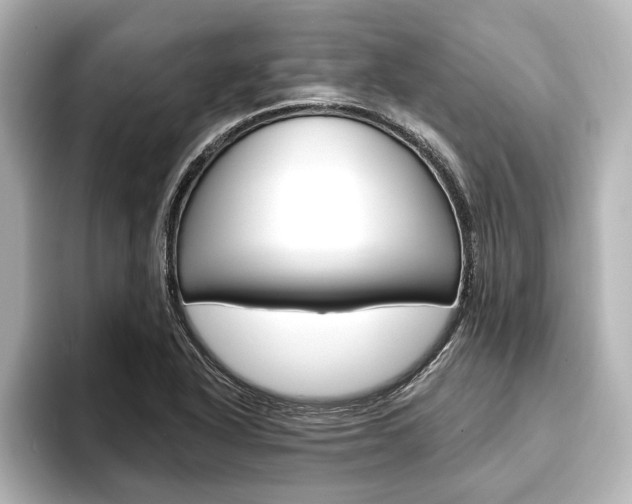 X0000093741318200710160742