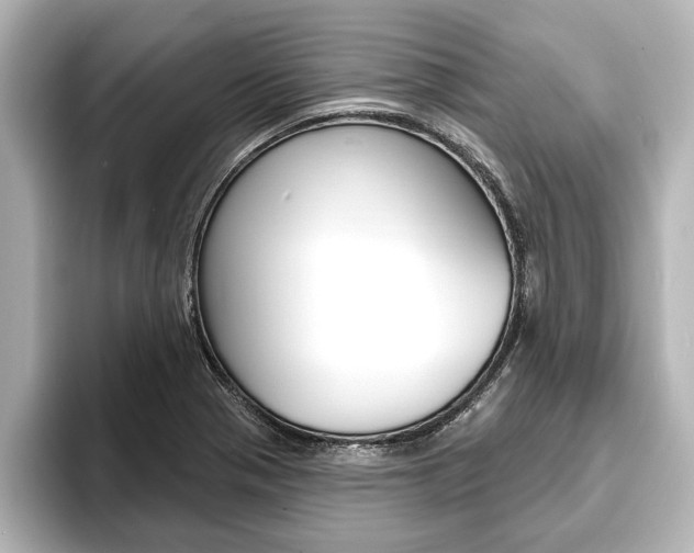 X0000093741321200710160742