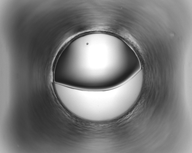 X0000093741324200710160742