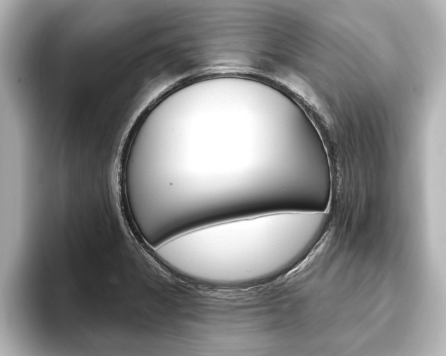 X0000093741325200710160742