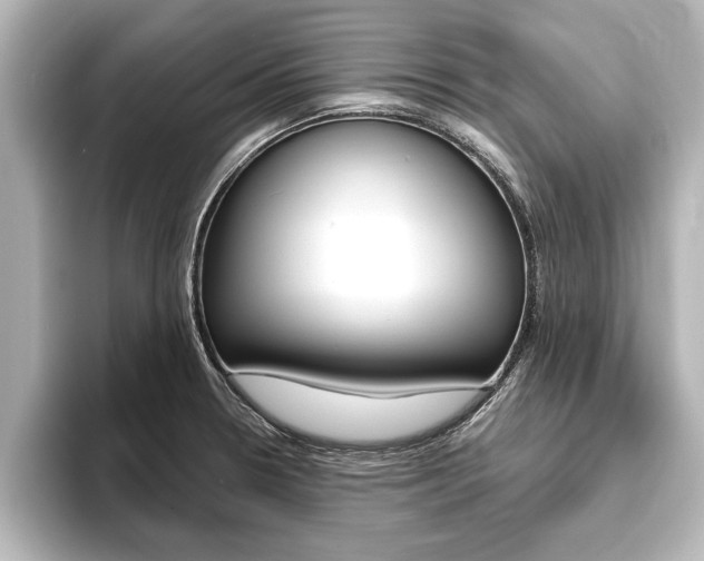 X0000093741330200710160742
